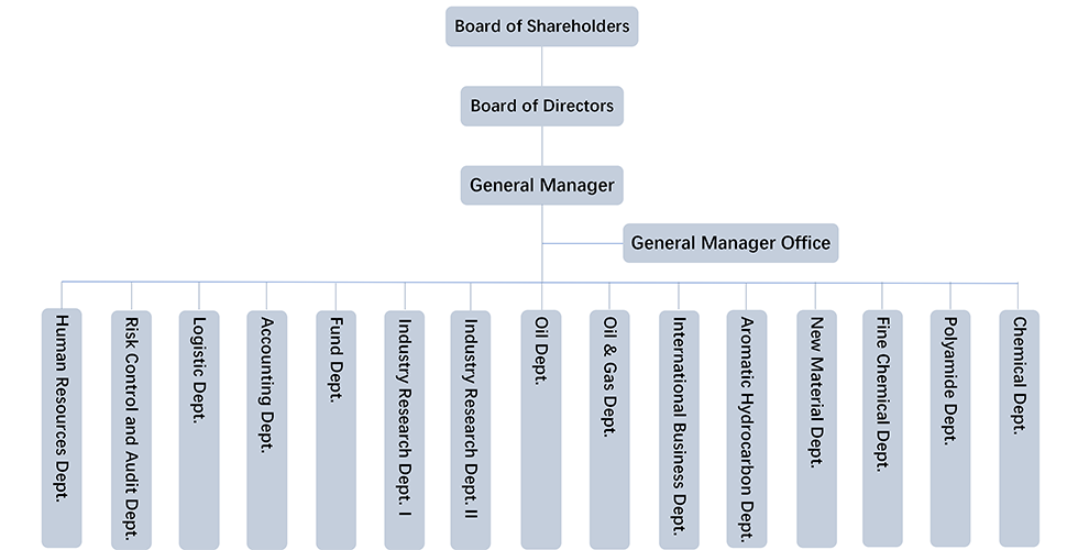 Organizational structure