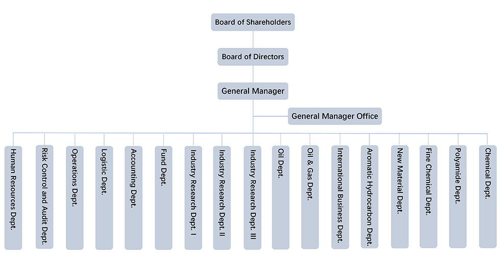 Organizational structure